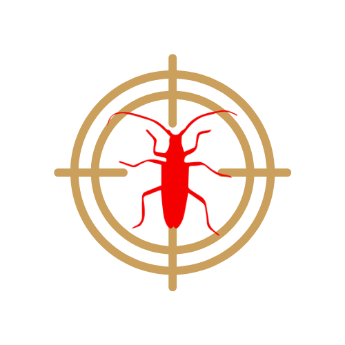 JF (7)