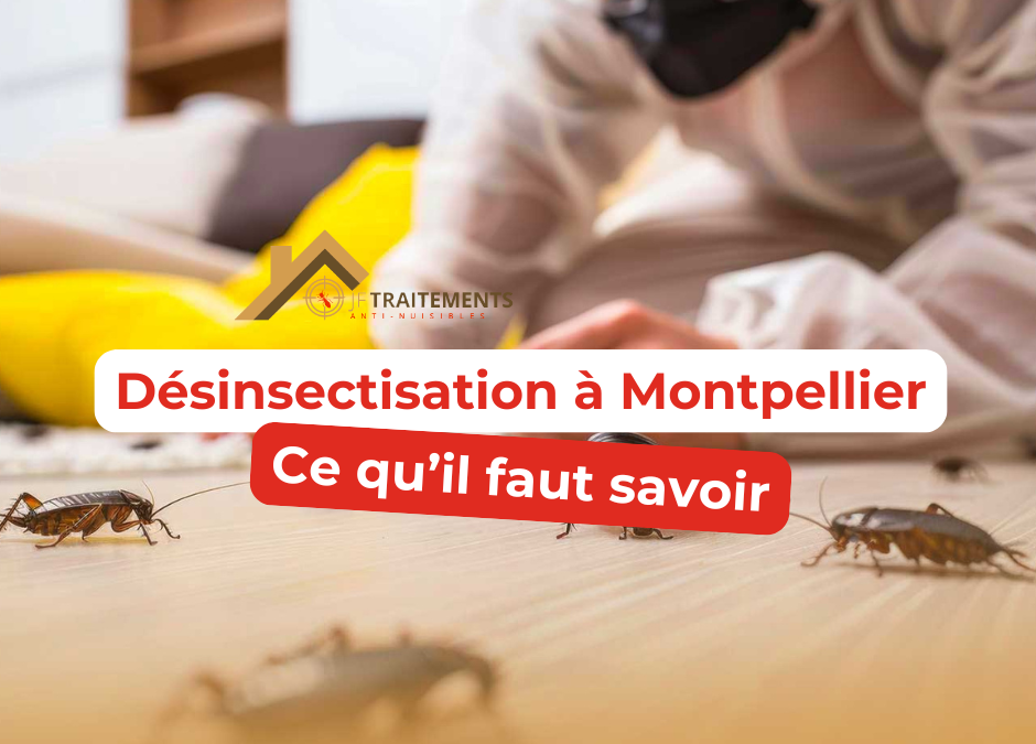 Dératisation Montpellier Jf traitements : Que faut-il savoir ?