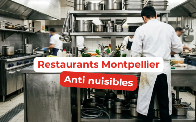 Restaurants Montpellier et Nuisibles : Quelles obligations ?